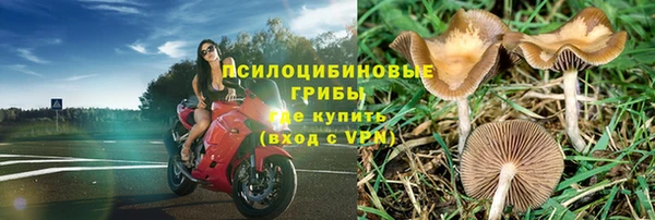 твердый Белокуриха